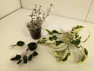 Заказ Шитикова 03092021